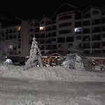 Mountain Asp E63 Gardens *