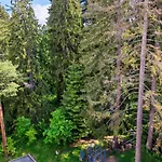 Mountain Asp E63 Gardens Borovets