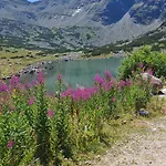 Mountain Asp E63 Gardens