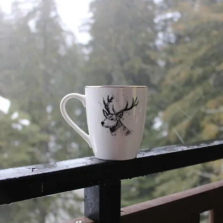 דירה Mountain Asp E63 Gardens בורובץ