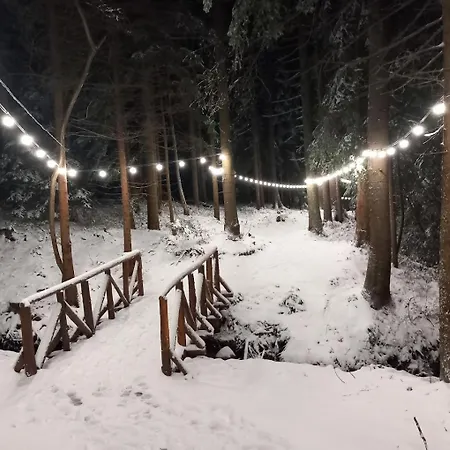 Mountain Asp E63 Gardens * Borovets