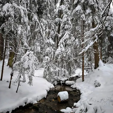 Mountain Asp E63 Gardens דירה *