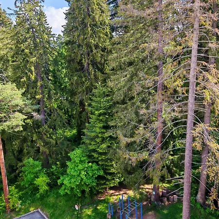 Mountain Asp E63 Gardens Borovets