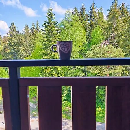 Mountain Asp E63 Gardens דירה *