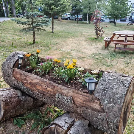 Lejlighed Mountain Asp E63 Gardens *