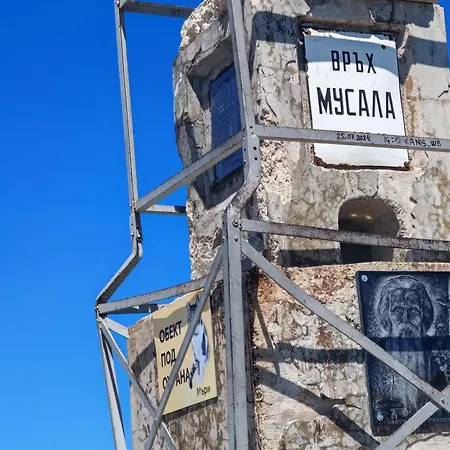 Mountain Asp E63 Gardens