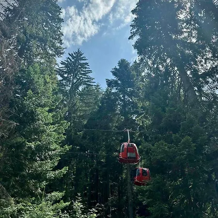 Mountain Asp E63 Gardens Apartmán