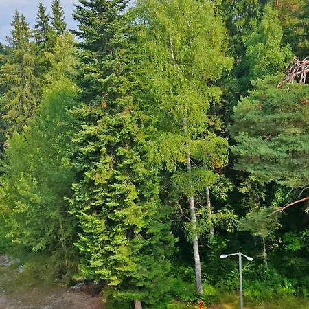 Mountain Asp E63 Gardens