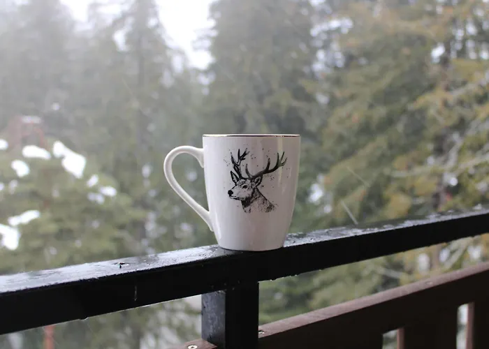 Appartement Mountain Asp E63 Gardens Borovets