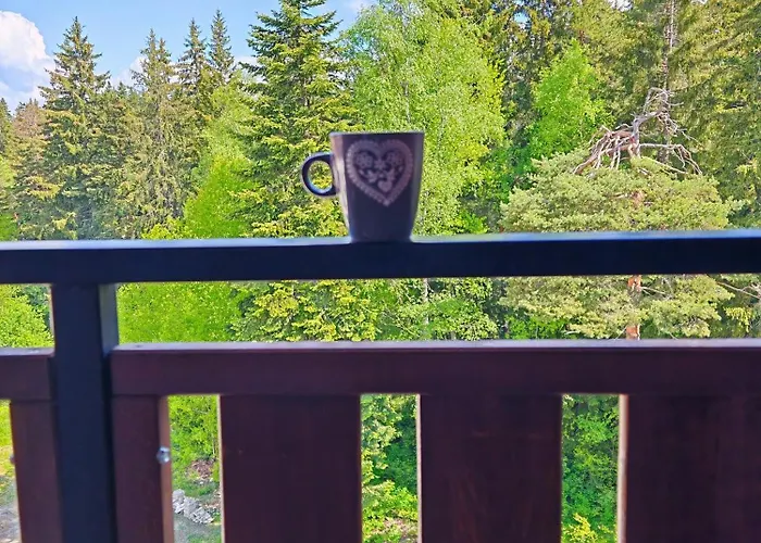 Mountain Asp E63 Gardens Appartement *