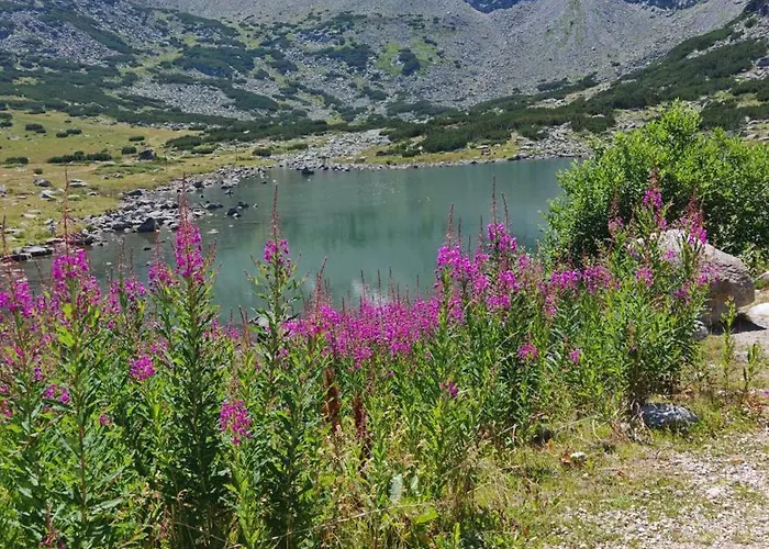 Mountain Asp E63 Gardens