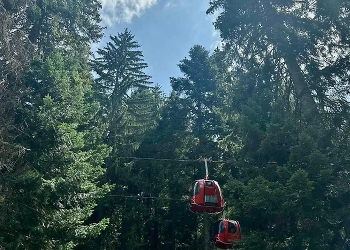 Mountain Asp E63 Gardens Appartement